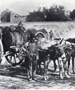 POSTER STAMPA 03 CARRETTIERE NAPOLETANO ANTICHI MESTIERI RIPRODUZIONE DA FOTOGRAFIA INIZIO 1900 32X45