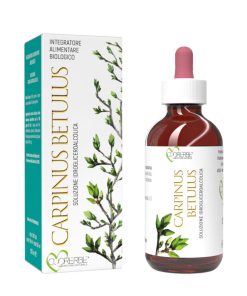 Carpino bianco gemme 100 ml Gemmoderivato biologico