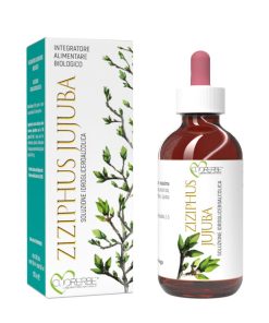 Giuggiolo semi 100 ml Gemmoderivato biologico