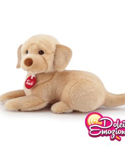 TRUDI LABRADOR LIAM SEDUTO