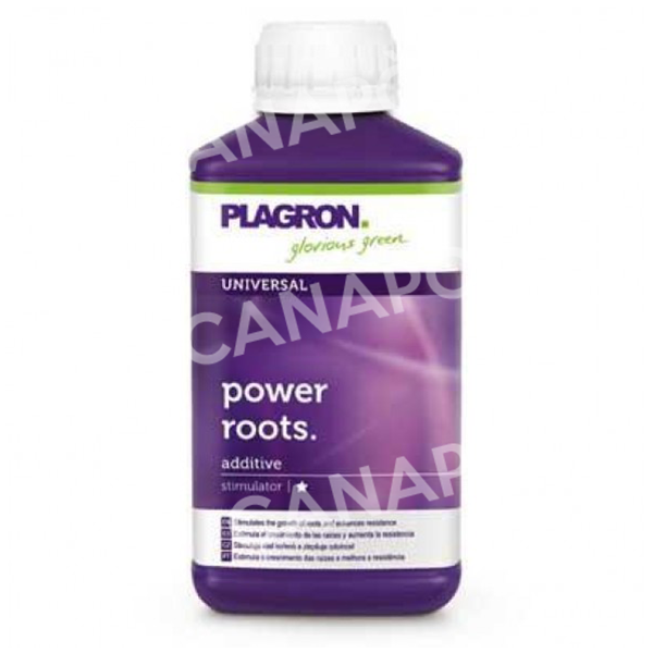 Power Roots PLAGRON NPK 1-0-2 additivo