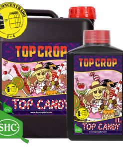 TOP CANDY TOP CROP