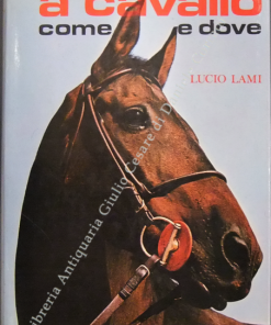 A cavallo come e dove